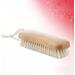 HEALIFTY Natural Beech Bristle Scrub Brush Household Laundry Brush Washing Clothes Brush Shoes Wash Brush - Buy Online on GoSupps.com