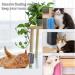 Bobozhong Cat Brush Set - 2 Large Self-Grooming Corner Brushes for Cats | Includes Catnip & Screws for Itching Massage (Blue) - Buy Online on GoSupps.com
