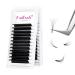 Fadlash eyelash extension Self-fleed eyelashes 0.07 13-16mm eyelashes lashes lashes easy fanning lash volume eyelashes eyelash extension eyelash fan (0.07mm-CC mix13-16)