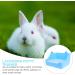 Housoutil Guinea Pig Bedding Bunny Bedding for Rabbits Ferret Potty Trainer Rabbit Litter Rabbit Potty Trainer Ferrets medium Blue - Buy Online on GoSupps.com