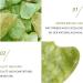 Bounabay Gua Sha Stone - Jade Facial Massage Tool for Eye Puffiness Skin Tightening & Anti-Aging Shop Internationally - Buy Online on GoSupps.com