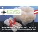 Organic Medicinal Wool - Anti-Inflammatory Skin Care | 50g Cotton Bag - Buy Online on GoSupps.com