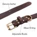 Tagme Personalized Leather Dog Collar - Engraved Name & Phone Number for Small Dogs - 1 Pack (Brown) - Buy Online on GoSupps.com