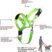 Barkeless Dog Halter for Easy Training & Walks - Soft Handle Pulling Solution Expert Instructions - Size M Green - Buy Online on GoSupps.com