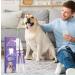Pet Oral Repair Gel for Dogs Pet Oral Repair Gel Pet Oral Care Gel Pet Oral Restoration Whitening Gel Gel Pet Oral Pet Oral Repair Gel Pen for Cats (3pc) - Buy Online on GoSupps.com