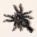 Xerling Gothic Spider Halloween Hair Accessory for Women and Girls Black Gem Hair Piece Alligator Hair Clip Duckbill Barrette Hairpin (Spider B) - Buy Online on GoSupps.com