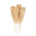 Sivifood Kandiszucker Sticks with Ginger - 10 Golden Kandis Sticks for Tea Gifts & Decorations - Perfect Winter & Christmas Treat - Buy Online on GoSupps.com