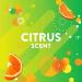 Scrubbing Bubbles Fresh Brush Flushable Refills - Citrus Action Scent - 36 Count Total - Pack of 3 Boxes - Buy Online on GoSupps.com