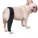 ORFOFE Puppy Knee Leg Supplies Dog Leg Braces for Hindleg Dog Leg Cover Knee for Dogs Dog Knee Cover Dog Injured Knee Dog Foreleg Brace Dog Leg Knee S As Shown - Buy Online on GoSupps.com