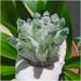 Stone Crafts Green Ghost Phantom Quartz Crystal Cluster Specimen kaixun (Size : 500-600g) - Buy Online on GoSupps.com