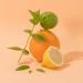Compagnie De Provence Hand and Body Lotion 300ml - Sparkling Citrus | Buy Internationally Online - Buy Online on GoSupps.com