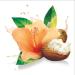 TRESemm Botanique Shampoo for curly hair Curl Hydration with Shea Butter & Hibiscus 739ml - Buy Online on GoSupps.com