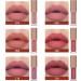 12 Colors Nude Liquid Lipstick Makeup Set - Long-Lasting, Waterproof, Non-Stick Cup - Velvet Matte - Gift Kit for Women - Set B - Buy Online on GoSupps.com