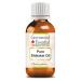 Pure Shikakai Oil (Acacia concinna) 30ml (1 oz) 1 Fl Oz (Pack of 1)