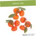Zerodeko 3pcs Simulation Sugar Orange Plastic Fruit Decor Orange Model House Decorations for Home Artificial Orange Home D cor Playhouse Toy Photo Prop Household Showcase Foam - Buy Online on GoSupps.com