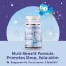 Hyland's Kids Organic Elderberry Plus Immune Support with ZINC & Vitamin C 48 Vegan Gummies + Organic Sleep Aid Calm + Immune Support Melatonin Free Chamomile & Elderberry 60 Vegan Gummies - Buy Online on GoSupps.com