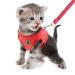 Femax cat dishes with leash for dogs cats soft mesh no pull dog dishes reflective adjustable breathable breathable puppy breast dishes for walking training xs (chest 26-29 cm) red