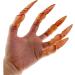 HEMOTON 4 Sets Fake Finger Nails Fake Nails Decor False Nails Spooky Nails Fake Party Nails Ghost Halloween - Buy Online on GoSupps.com