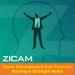 Zicam Intense Sinus Relief No-Drip Nasal Spray with Menthol & Eucalyptus 0.5oz (Pack of 2) - Buy Online on GoSupps.com