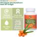 Organic Sea Buckthorn Seed Oil Softgels - 60 Count - Buy Online on GoSupps.com