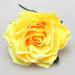 12 Pack Multicolored Rose Flower Hair Clips for Women & Girls - Perfect Accessories for Parties Beach & Weddings - Buy Online on GoSupps.com