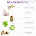 Bye Bye Blemish Dissolving Cleanser â€“ Witch Hazel Oil Control, 50 Sheets - Buy Online on GoSupps.com