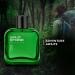 Wild Stone Forest Spice Premium Perfume for Men 50ml| Eau De Parfum|Long Lasting Fragrance Spray for Men|Luxury Eau De Parfum - Buy Online on GoSupps.com