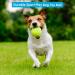 ACCURATE Durable Sport Play Tennis Cricket Dog Toy Ball with Mesh Carrying Bag Sturdy & Durable Great For Lessons Practice Throwing Machines Adults Children Exercise Pets 3 PK - Buy Online on GoSupps.com