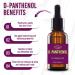 Buy D-Panthenol Oil - Cosmetic Grade 76.9% - Ideal for Skin Hair & Nail Care - 0.35 Oz - International Shipping Available - Buy Online on GoSupps.com