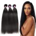 Buy Black Long Straight Real Hair Wig for Ladies - Heat-Resistant & Dyeable | Perfect for Parties & Weddings - Buy Online on GoSupps.com