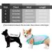 Light Dog Cooling Vest - Breathable UV Protection T-Shirt for Small to Medium Dogs | Reflective Cooling Jacket for Spring & Summer - Size S (Blue) - Buy Online on GoSupps.com