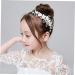 Angoily Hair Accessory for Women Crystal Ab Rhinestones Hair Rhinestones Womens Hair Clips Pearl Hair Barrettes Flower Girl Hair Clip Tiara Bridal Hair Comb Wedding Bride Accessories - Buy Online on GoSupps.com