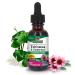 Nature's Answer Echinacea and Goldenseal with Organic Alcohol 1-Fluid Ounce