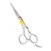 Equinox Professional Hair Scissors - Hair Cutting Scissors Professional - 6.5 Overall Length - Razor Edge Barber Scissors for Men and Women - Premium Shears for Hair Cutting For Salon and Home Use Silver