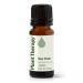 Plant Therapy Tea Tree Essential Oil 100% Pure Undiluted Natural Aromatherapy Therapeutic Grade 10 mL (1/3 oz)