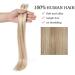 SEGO Tape Hair Extensions - 100% Real Human Hair Adhesive 20 Pieces + 10 Free Tapes Honey Blonde #18P613 14 (35cm) 40g - Perfect for Seamless Application - Buy Online on GoSupps.com