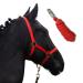 Horse delini Halfter Fohlten Halfter with a knitting halter for wooden horse - foal halter twice adjustable on chin straps & neck pieces (foal red) foal red