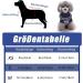 Shop XS Blue Christmas Dog Sweater | Cozy Knitted Sweaters for Small Dogs | Perfect Holiday Gift - Buy Online on GoSupps.com