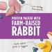 Nature's Variety Instinct Raw Boost Cat Food Rabbit Mixer 6 oz. - Buy Online on GoSupps.com