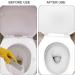 8-Piece Pumice Stone Cleaning Kit - Toilet Sink Shower & Grill Cleaner with Gloves | Urine & Stubborn Stain Remover - Buy Online on GoSupps.com