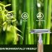 Stainless Steel Double-Cutting Razor with Long Handle & 5 Blades - Ultimate Clean Shave for Men & Women - International Shipping Available - Buy Online on GoSupps.com