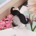 Funny Cartoon Lip-Beard Pacifier for Babies | Cute Mini Bearable Design | Food-Grade Silicone & Dust-Proof Cover - Buy Online on GoSupps.com