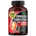 Premium Tribulus Terrestris Extract - 95% Total Saponin 9150 mg Ultra Potency with Maca Root Tongkat Ali Ginseng - High Strength for Men Women - 90 Day Supply (90 Count (Pack of 1))