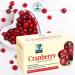 BADER's Cranberry Plus Acerola Rooibos Tea - 40 Filter Bags - Immune Support & Antioxidants - International Shipping - Buy Online on GoSupps.com