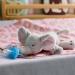 Philips Avent Soft Toy Elephant with Pacifier SCF348/13 - Comfort & Soothing for Babies | International Shipping - Buy Online on GoSupps.com