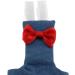 Buy Tenlacum Parrots Diapers for Green Cheeks Amazons & Eclectus Denim M | International Shipping Available - Buy Online on GoSupps.com