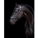Buy Presteq Bridle FaySport Glitter PresTec Black - Full/WB - International Shipping Available - Buy Online on GoSupps.com