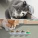 Starroad-Tim Catmil Wall Ball Cat Mint Toys | Edible Rotating Catnip Balls for Dental Health | Natural Cat Treats - Buy Online on GoSupps.com