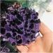 for Natural Crystal Cluster Amethyst Specimen Purple Quartz Stone Raw Crystal Home Decor ERTEYIN 300-400g - Buy Online on GoSupps.com