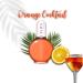 Lalill Nail Cuticle Oil 75ml - Vegan Orange Cocktail Nail Care Oil for Healthy Nails & Skin - Spa Manicure Essential with Pipette - Buy Online on GoSupps.com